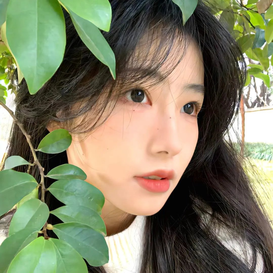 六拳一气
