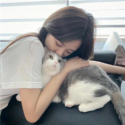 共同的语言